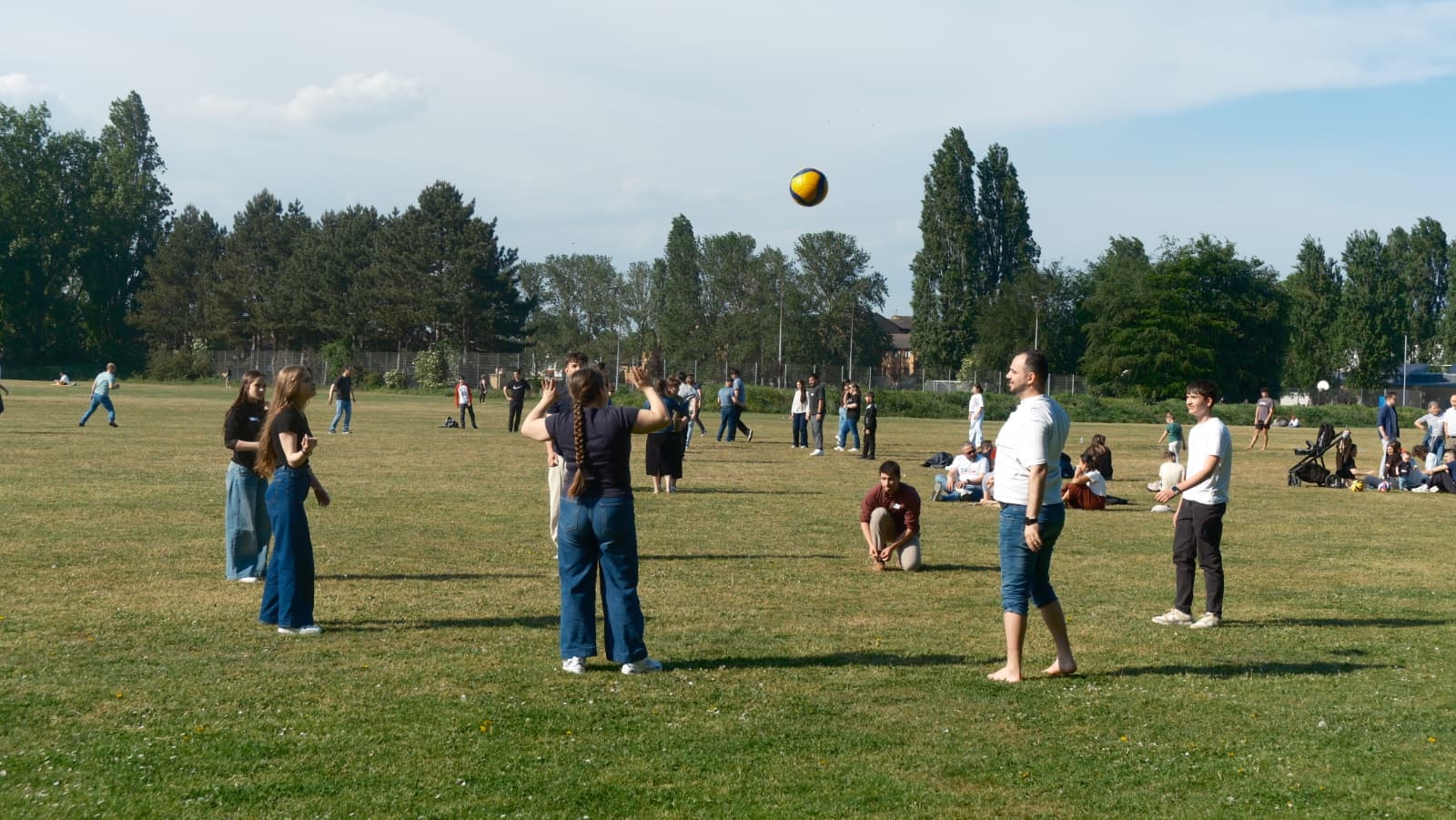Volei în parc